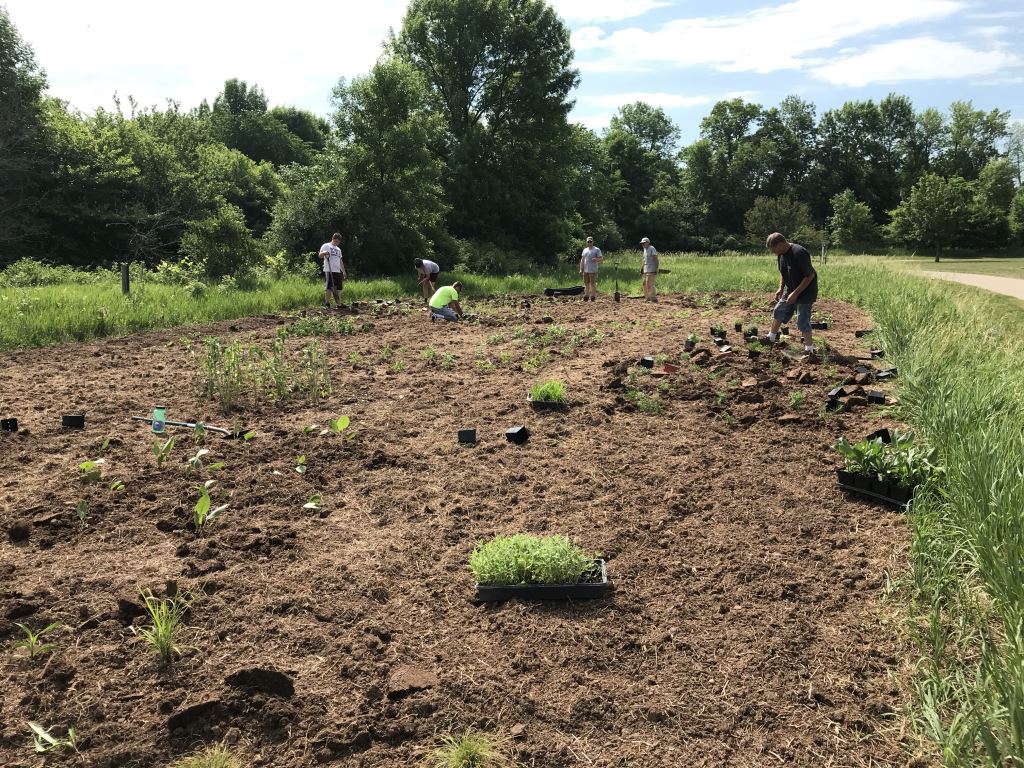 People plant pollinator plants along the East River