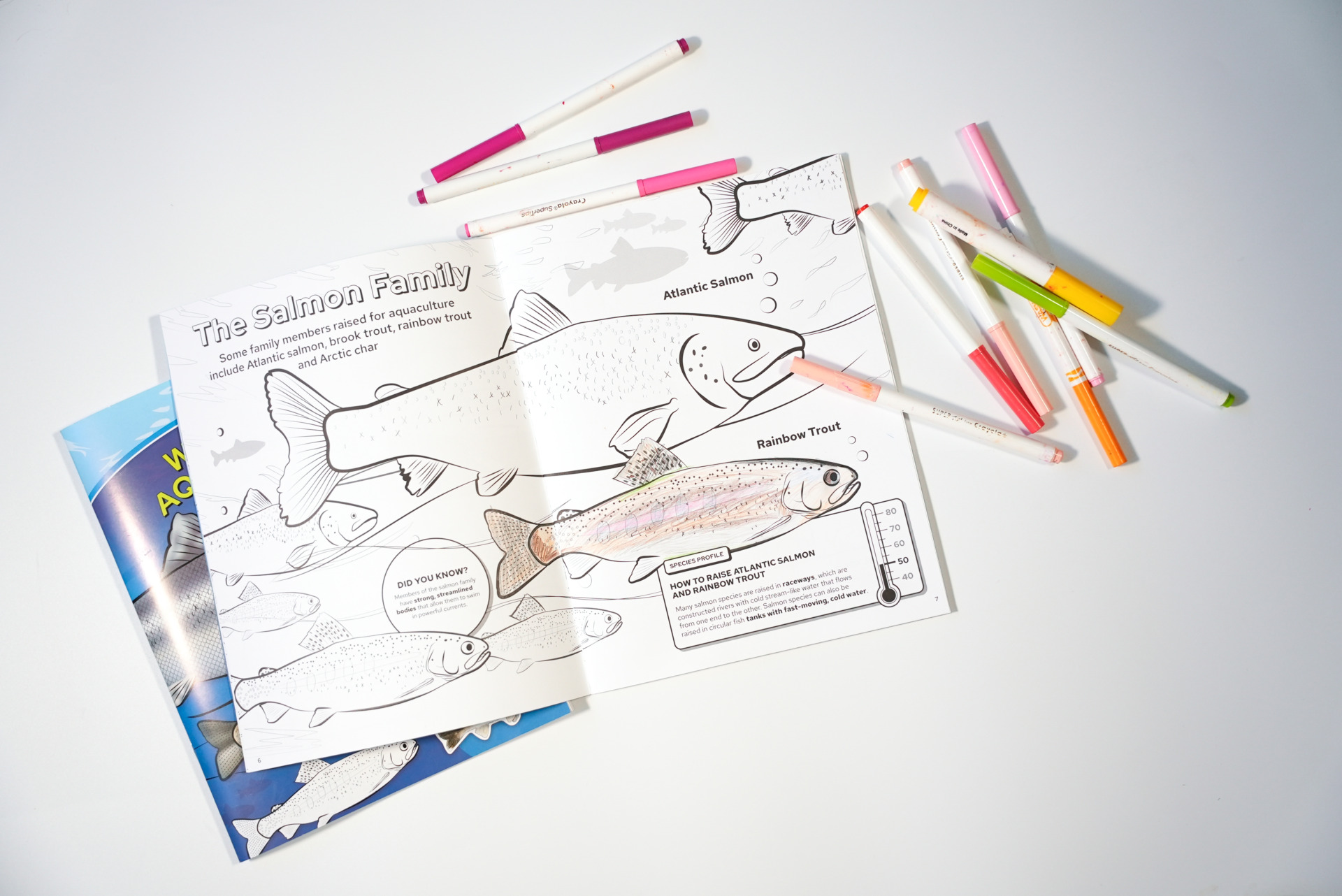 A coloring book page featuring fish form the salmon family with markers scattered around.