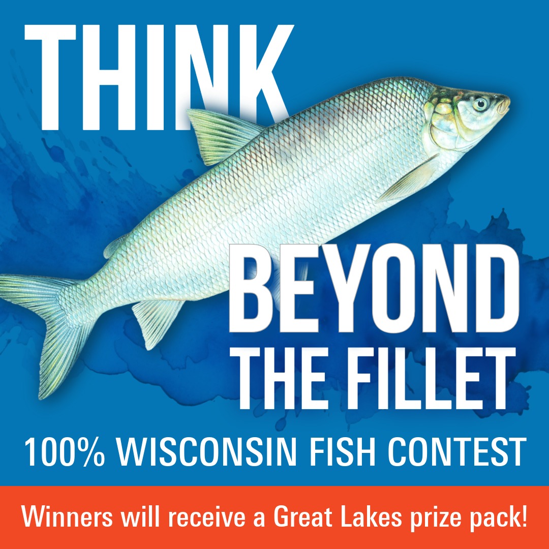 Graphic for 100% Wisconsin Fish contest that displays a whitefish and encourages folks to "Think beyond the fillet"