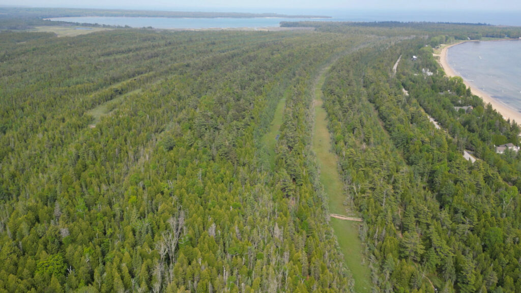 A drone photo of a ridge and swale ecosystem from above, showing parallel strips of forest and wetland next to Lake Michigan.