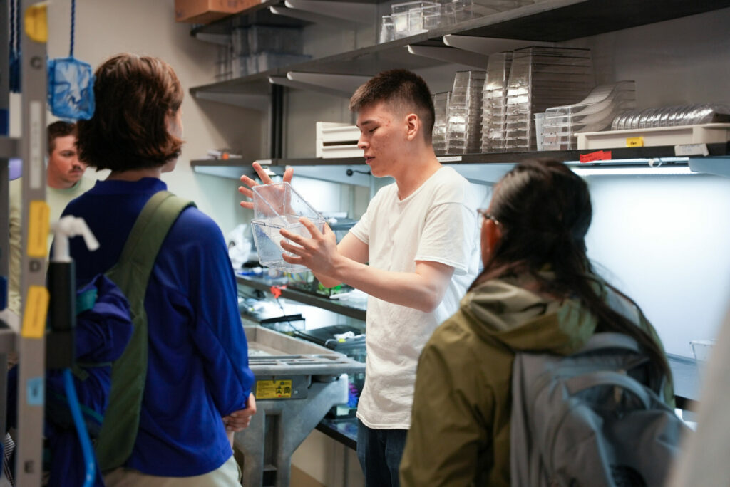 aquaculture intern Raatbek Baizakov holds a plastic tanks used for breeding zebrafish