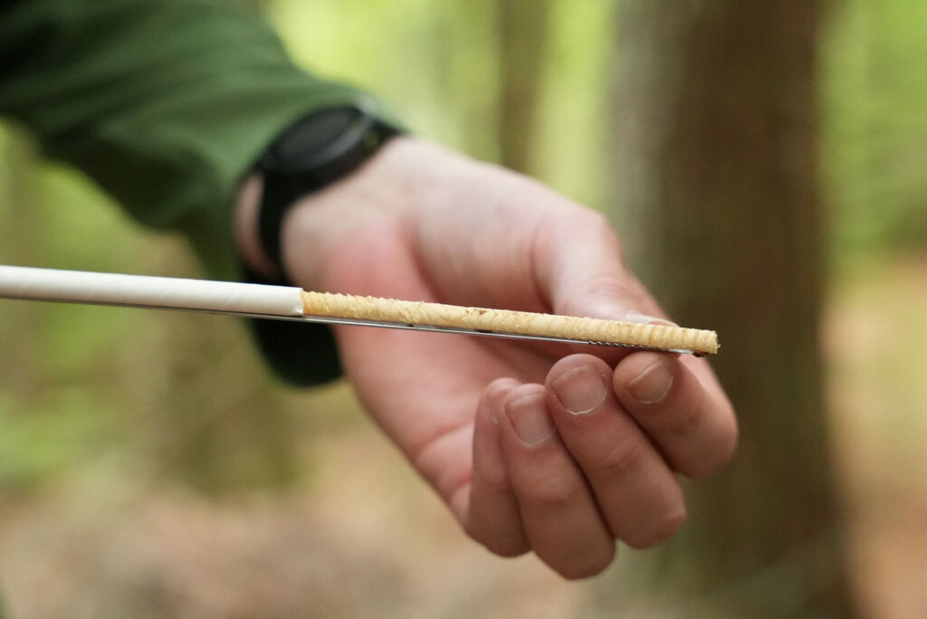 Close up of Eric Kastelic's hand holding a pencil-sized tree core.