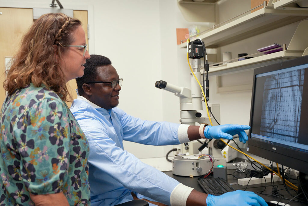 Two people in a laboratory examine a computer monitor displaying a magnified scientific image.