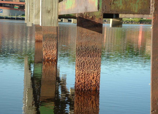A series of pilings in water showing rust damage