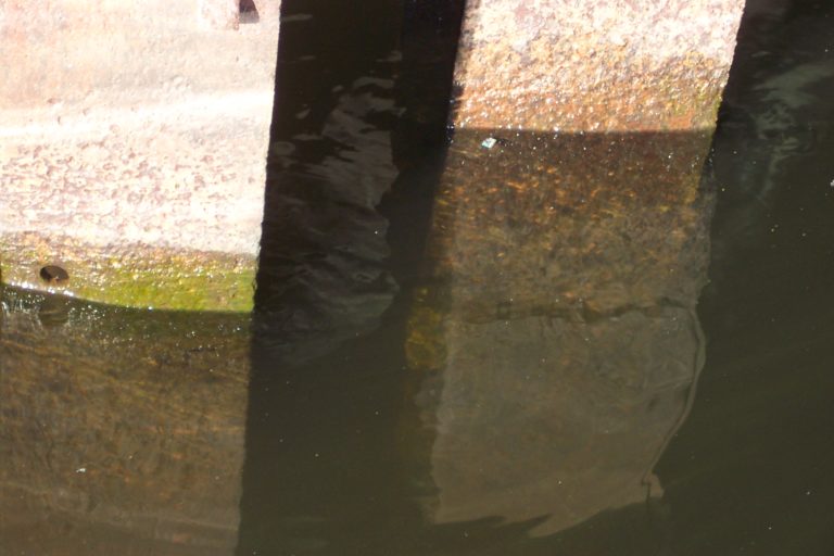 A close-up of two cubical steel pilings in water, rusted.