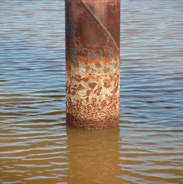 Piling in water showing signs of early rust formation