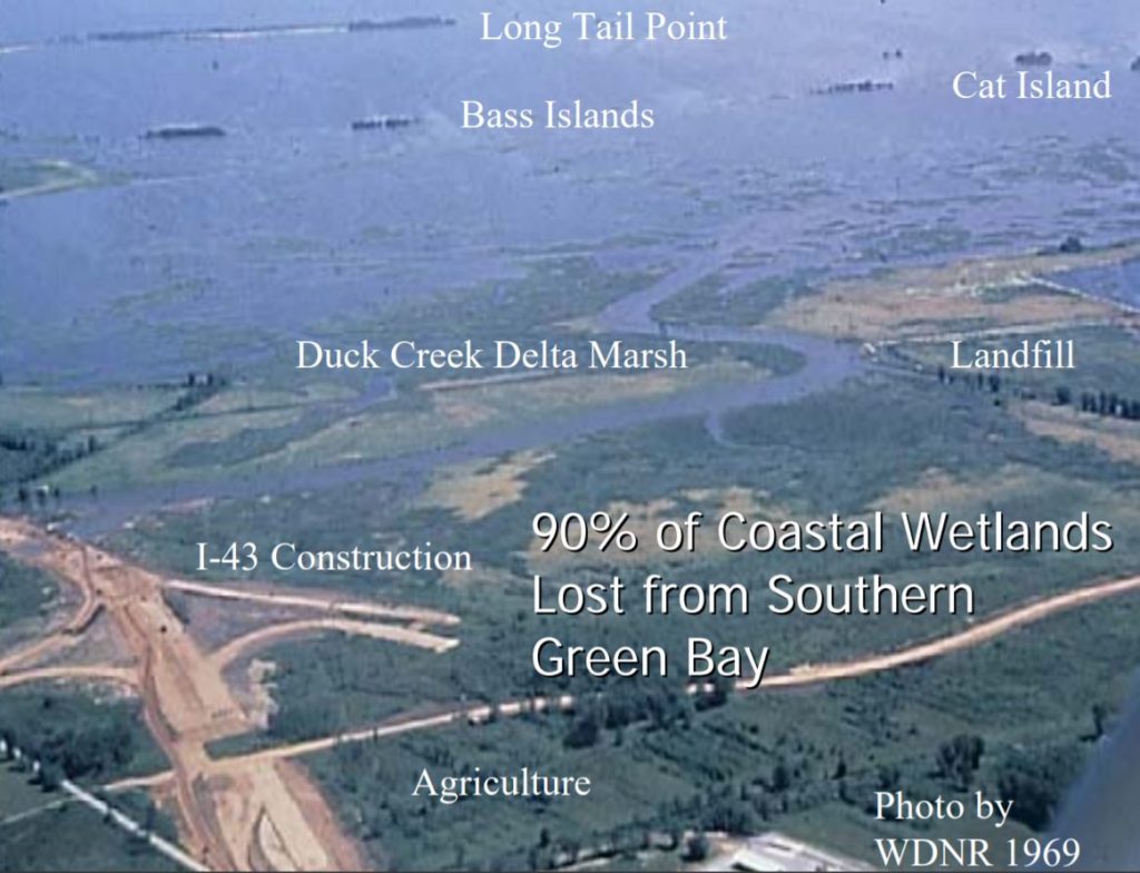 Aerial photograph of the Cat Island Green Bay area showing habitat loss