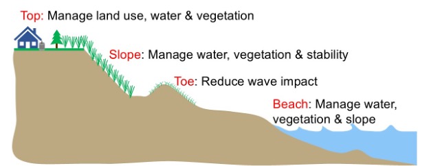 Drawing of a home on top of a bluff. The home has a rain barrel. The home is set well back from the edge of the bluff. The flat bluff top plateau is vegetated with trees and grasses, the bluff slope is also vegetated. A dune is located on the beach near the bluff toe. The dune is vegetated. The beach itself is not vegetated and is the location that waves impact. Top: Manage land use, water & vegetation Slopes: Manage water & vegetation Toe: Reduce wave impact Beach: Manage water, vegetation & slope.