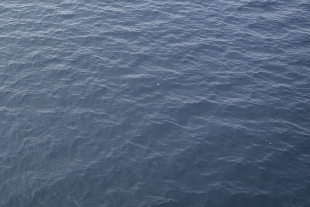 aerial view of water ripples